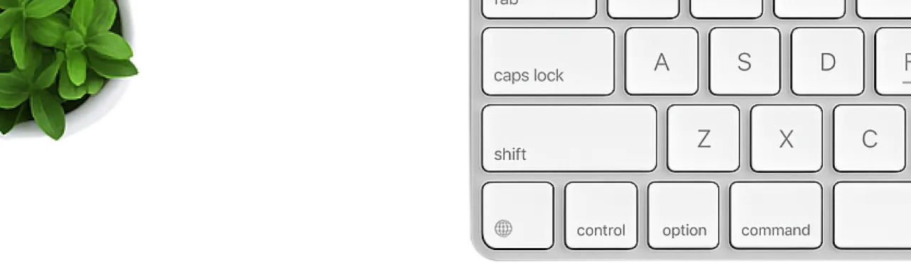 A decorative image showing a white keyboard and a small green plant signifying a workspace.